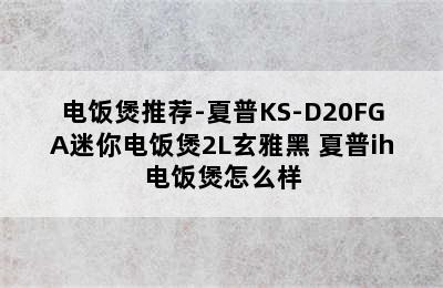 电饭煲推荐-夏普KS-D20FGA迷你电饭煲2L玄雅黑 夏普ih电饭煲怎么样